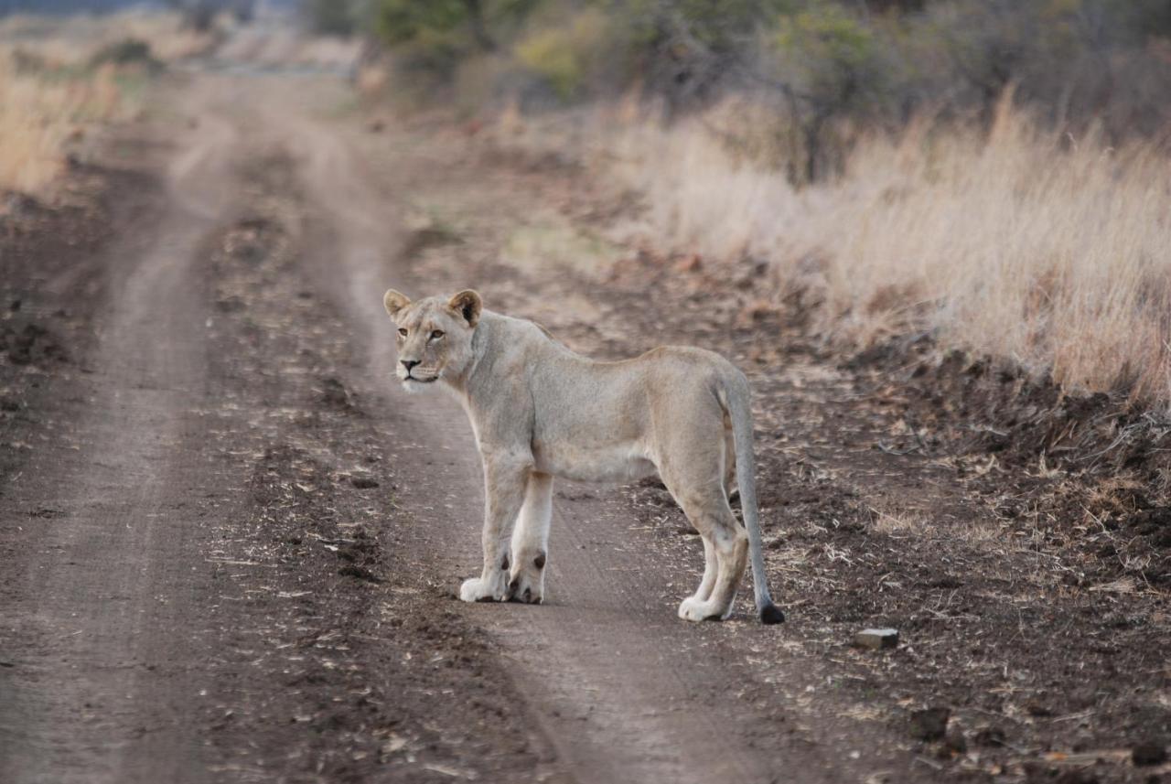Kgorogoro Lodge Pilanesberg Eksteriør bilde